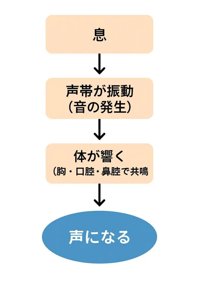 サックスの音は“声”に近い！？息が音になる仕組みと、いい音を鳴らす